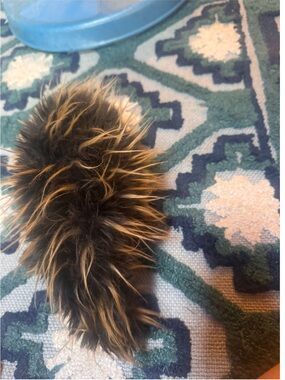 Cute Folkmanis porcupine puppet